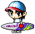 Cung